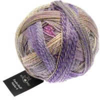 Zauberball® Stärke 6 2514 Geheimrat